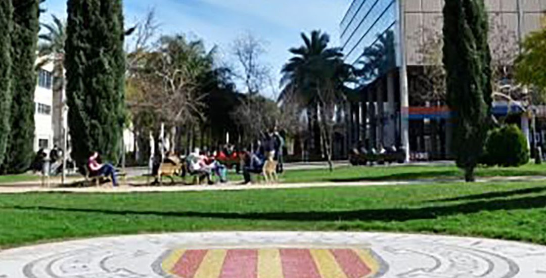 IMPACT-E-Descarbonización del campus de Vera de la Universitat Politècnica de València (UPV)