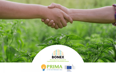 BONEX: nuevo proyecto para impulsar sinergias entre agua, energía, alimentos y ecosistemas