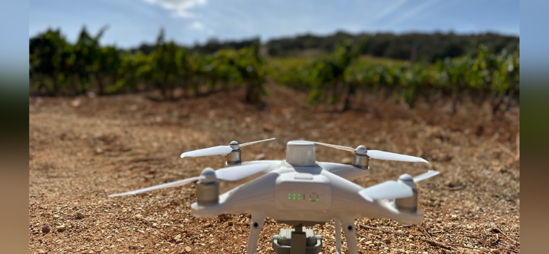 Agricultura de precisión en Málaga: un dron y un robot de exploración recorren las viñas para reducir el impacto medioambiental de los cultivos