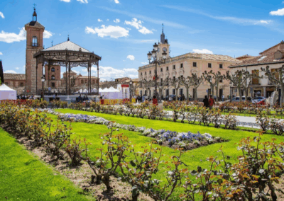 Considera-Puesta en marcha de la EDIL de Alcalá de Henares