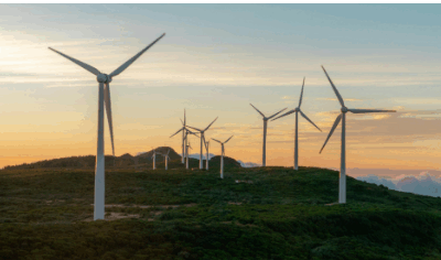 Almena Energy: Australian Market Intelligence
